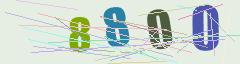 CAPTCHA validation image