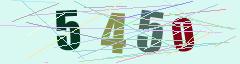 CAPTCHA validation image