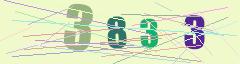 CAPTCHA validation image