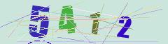 CAPTCHA validation image