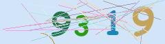 CAPTCHA validation image