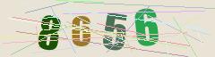 CAPTCHA validation image